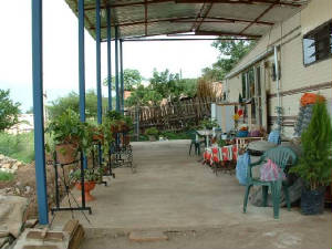 mylotsmypatio04.jpg