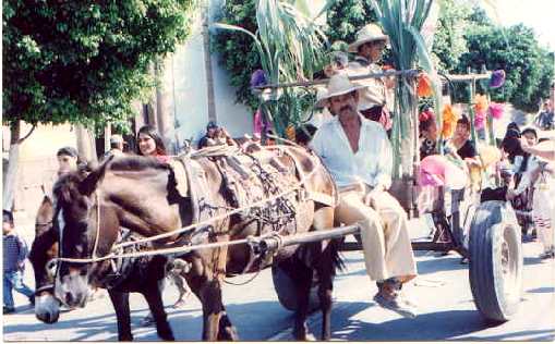 vicentetoscanowithhorseandcart.jpg